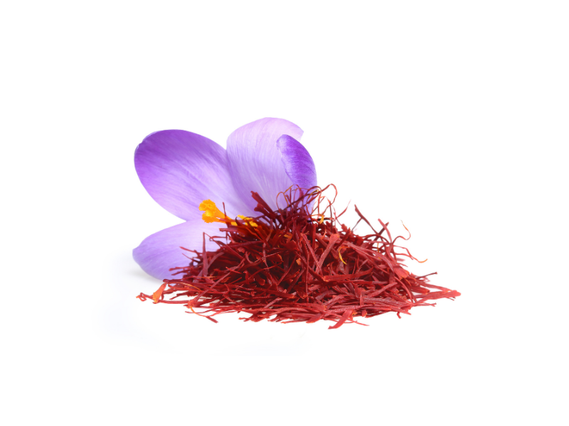 Life Extension, white background with saffron spice in front of purple flower